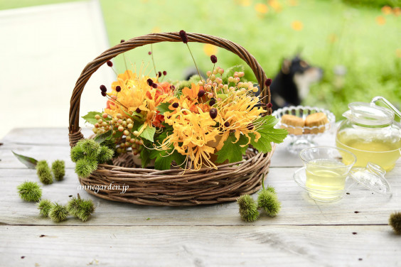 ワレモコウを詠んだ一茶の句が なんか優しい 花と犬のbonne Idee