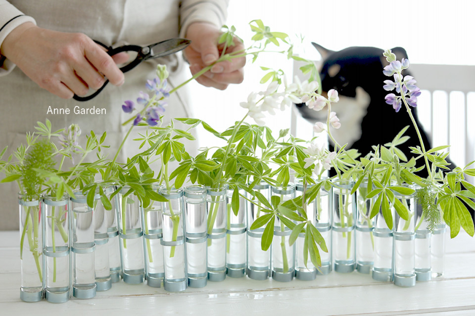 Vase D Avril ツェツェの 4月の花器 で春の花をアレンジ 花と犬のbonne Idee