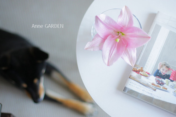 ユリのつぼみが折れてしまっても 花と犬のbonne Idee