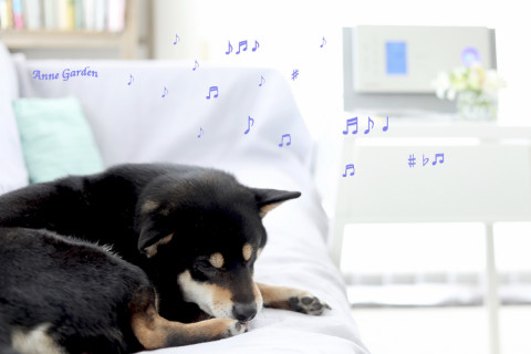 花と犬のbonne Ideeの記事一覧 ページ5