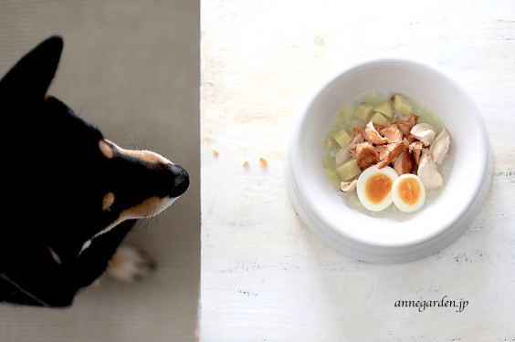 お魚苦手な愛犬あんでも 大好きな鶏粥に焼き鮭をトッピングすると 花と犬のbonne Idee