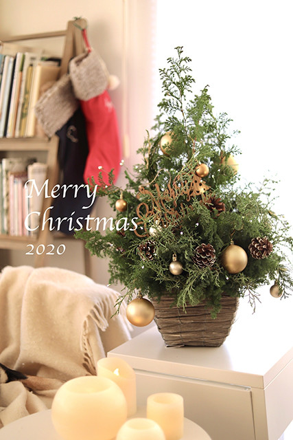 クリスマスツリーアレンジのオンラインレッスン 花と犬のbonne Idee クリスマスツリーアレンジのオンラインレッスン 花と犬のbonne Idee