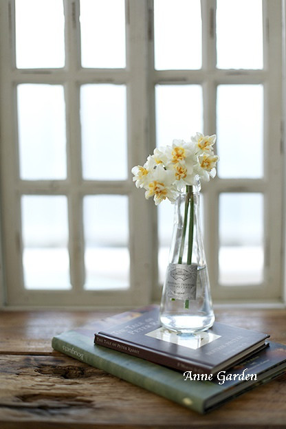 うつむき加減のスイセンは 細口瓶の口元にぎゅっとまとめて 花と犬のbonne Idee