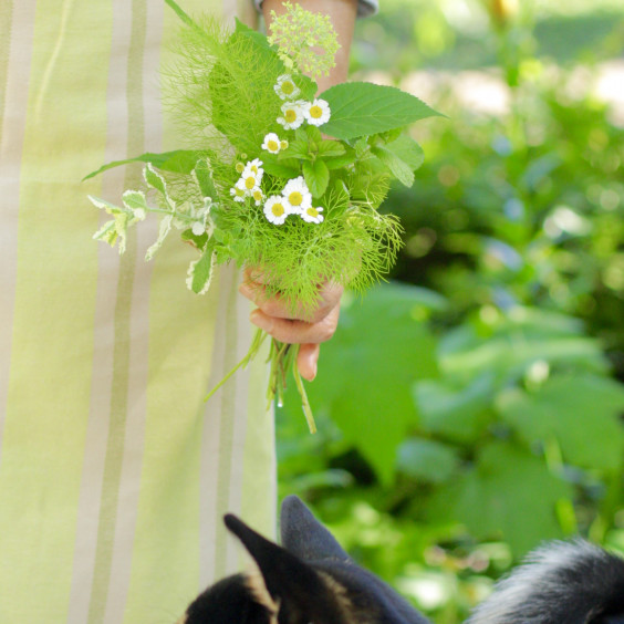 ハーブブーケは消臭にも 花と犬のbonne Idee