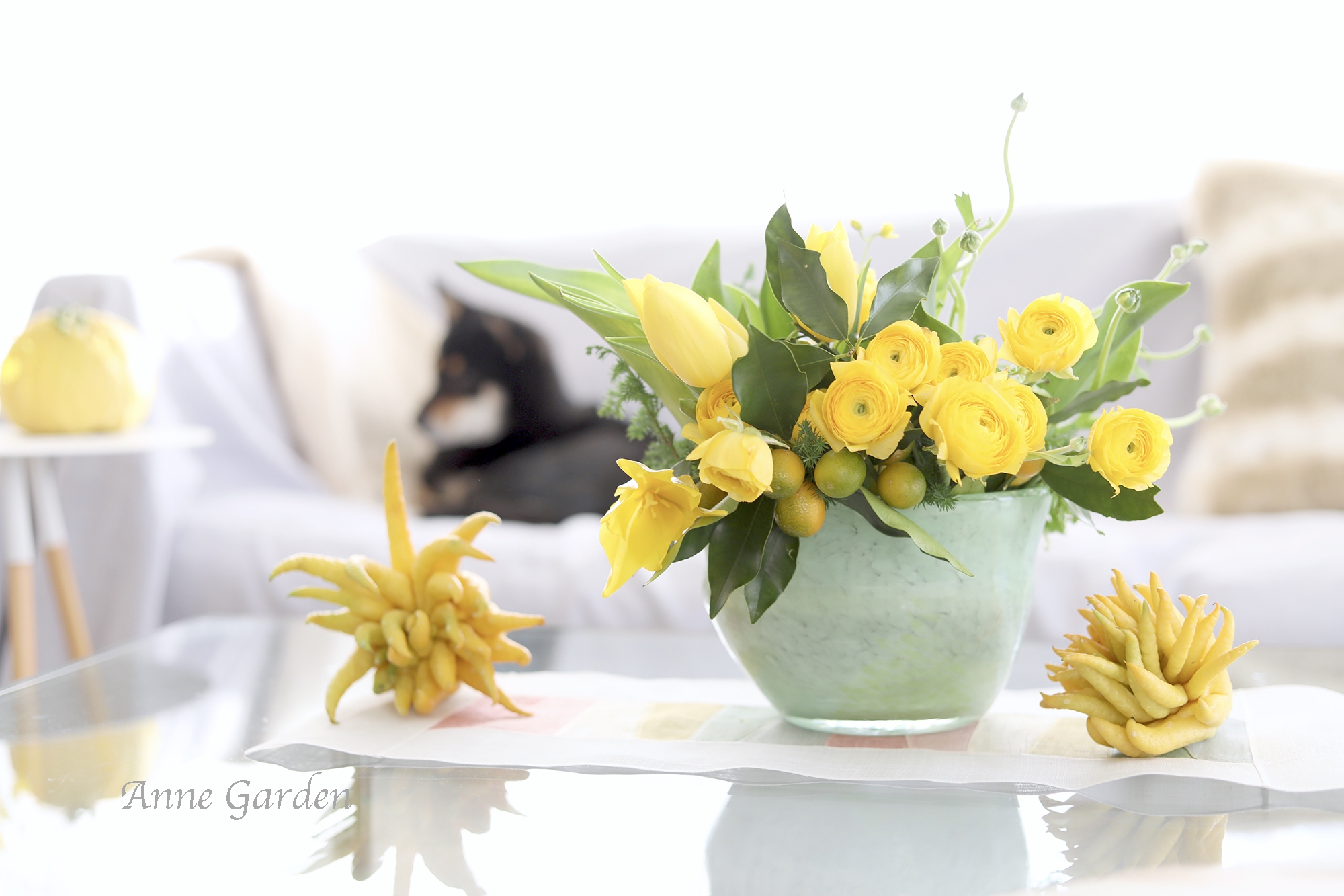 仏手柑　果実　縁起物　生け花　お正月飾り　観賞用　熱帯果樹 (8) 仏手柑 果実 縁起物 生け花 お正月飾り 観賞用 熱帯果樹 (2)