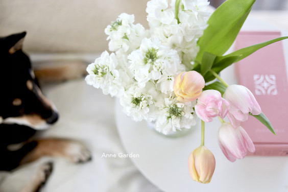 花生けは ざっくりラフに生ける方が上手くいく ストックの２番目にカンタンな生け方 花と犬のbonne Idee