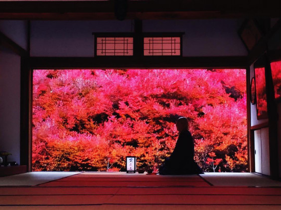 日本の美しい景色 キャパのブログ