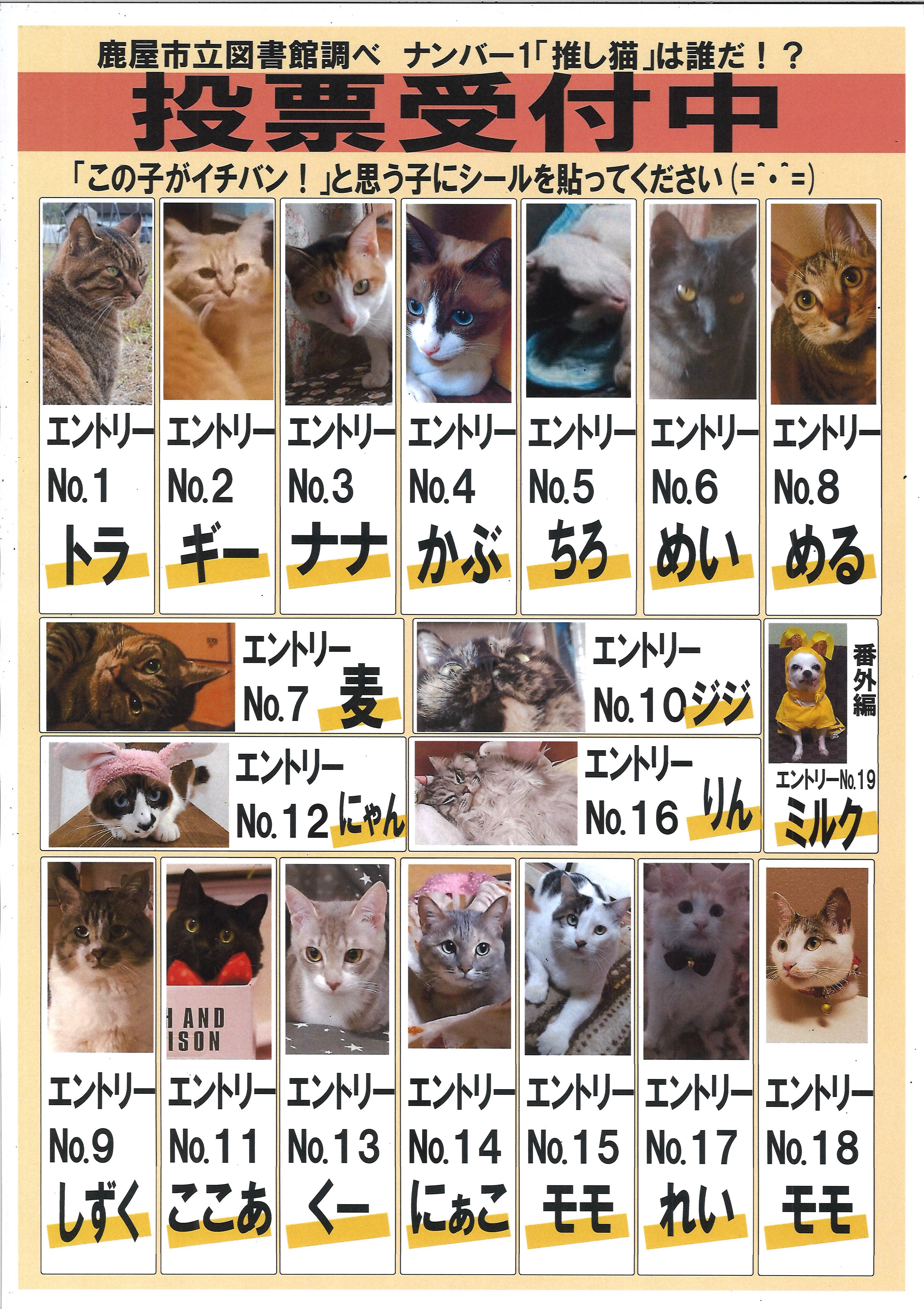 2ddafd76730cbcc1b85bc78d5bad45