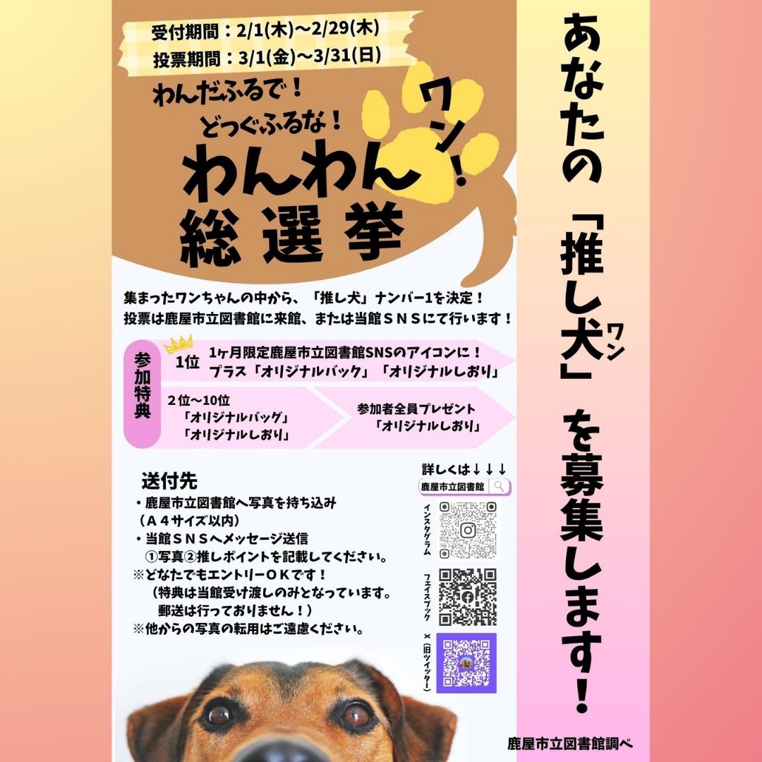 募集中！】わんだふるで！どっぐふるな！わんわん総選挙ワン！ | 鹿屋