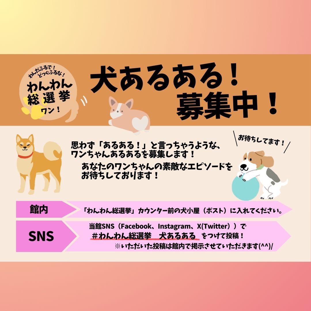 投票開始！3/12～】わんだふるで！どっぐふるな！わんわん総選挙 ワン