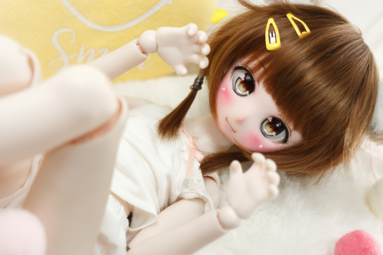 DDH-01 SW肌 作家様カスタムヘッド アイ＋ウィッグ付き（ごんた】 DDH 
