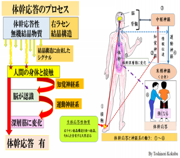 スポーツでより高いパフォーマンスや結果を出したい方 | Bioce 