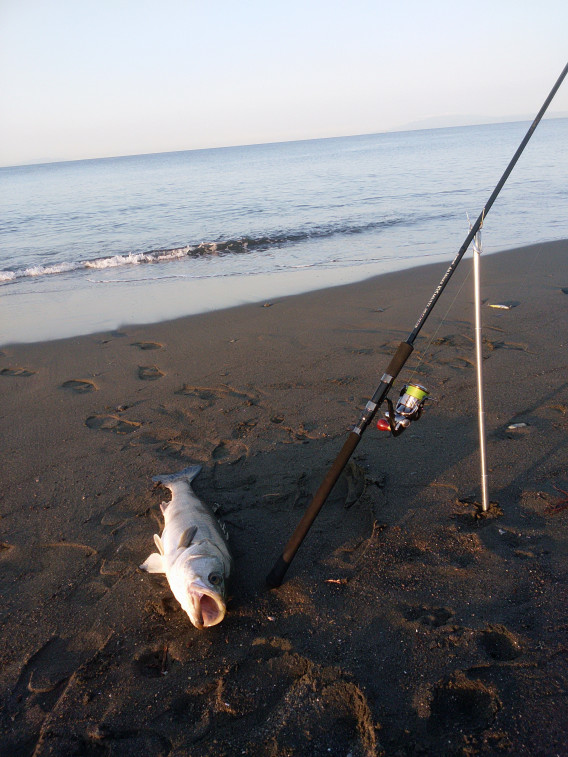 湘南サーフシーバス ローテック S Ownd