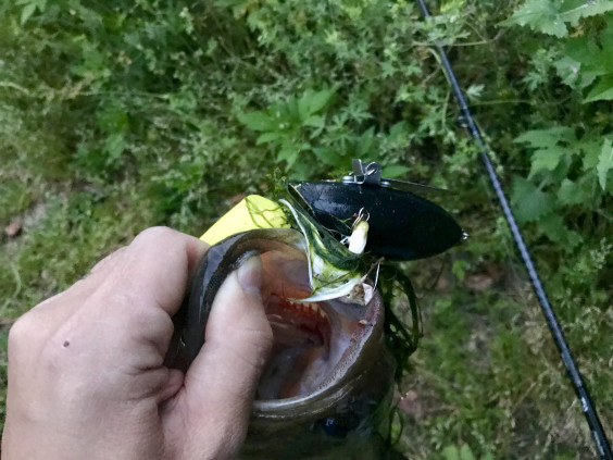 Reiwa 初バスはクローラーベイトで なんだか憎めないハイフィンホグバスターが活躍したよ ジョーさんのnothing Much Better To Do