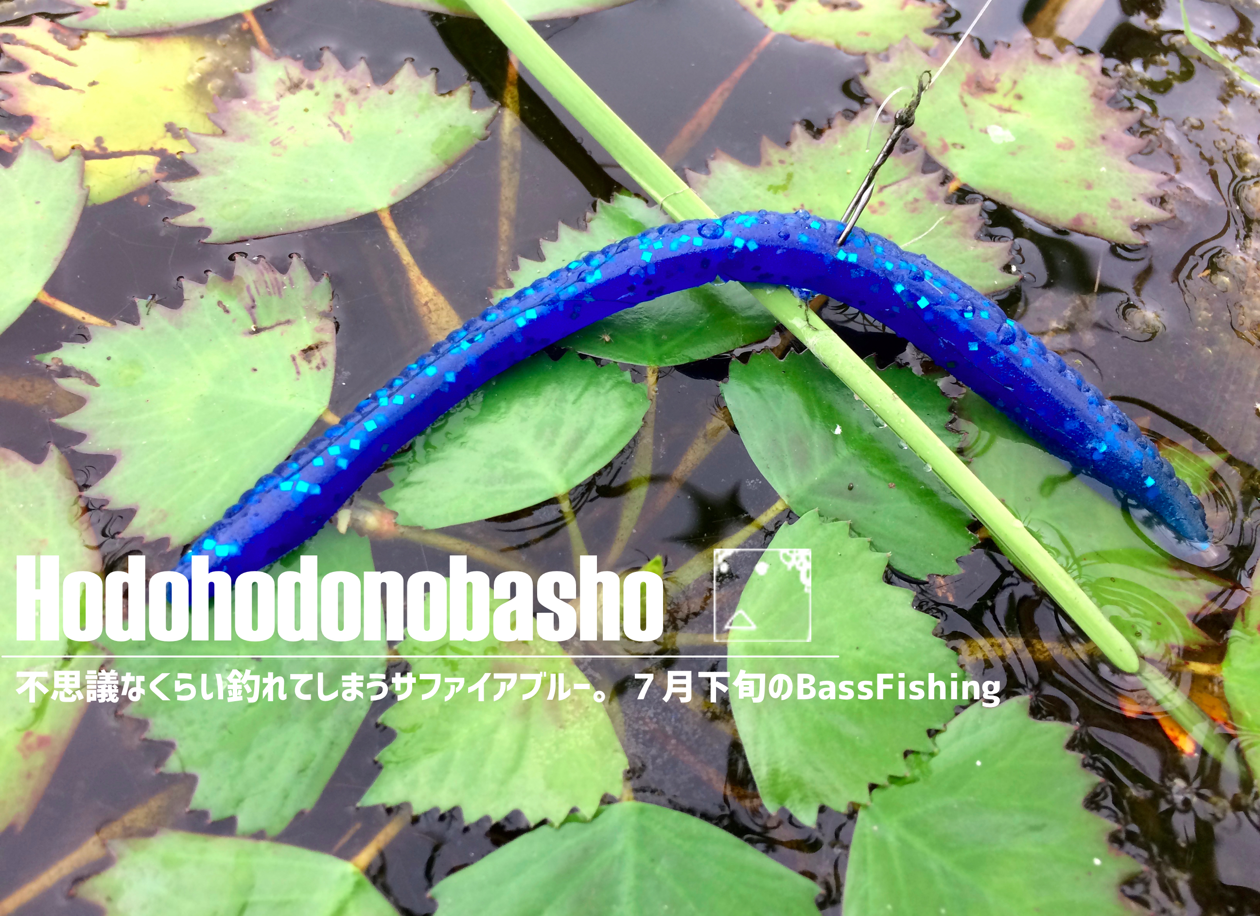 不思議なくらい釣れてしまうサファイアブルー ７月下旬のbasfishing ジョーさんのnothing Much Better To Do