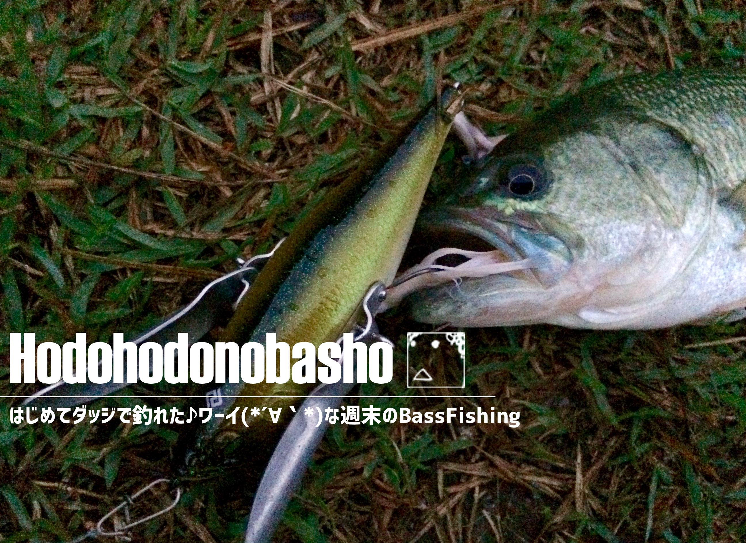 はじめてダッジで釣れた ワーイ なbassfishing ジョーさんのnothing Much Better To Do はじめてダッジで釣れた ワーイ なbassfishing ジョーさんのnothing Much Better To Do