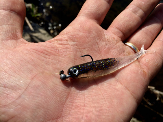 その小魚 サカナじゃ無いですワームです リアル系ワーム Virola ヴィローラ が釣れすぎたgw後半のbassfishing 上 ジョーさんのnothing Much Better To Do