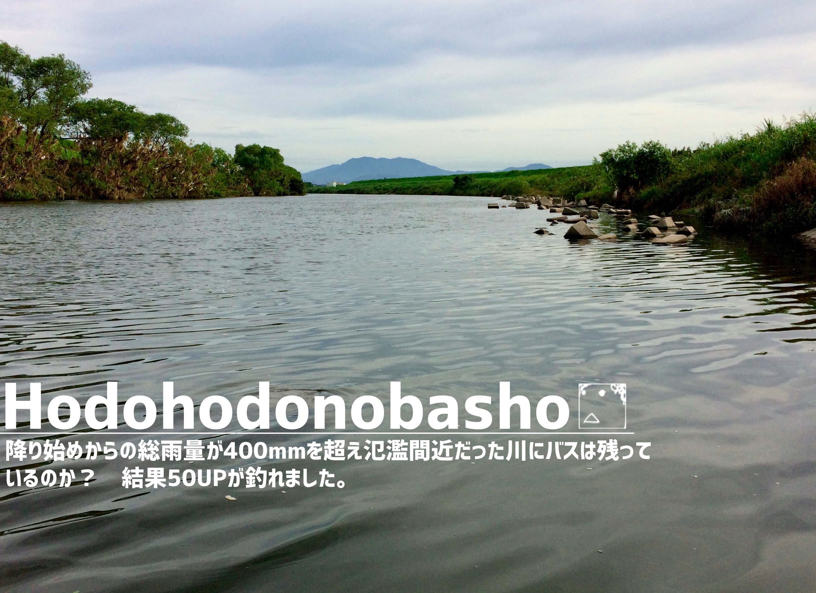 降り始めからの総雨量が400mmを超え氾濫間近だった川にバスは残っているのか 結果50upが釣れました ジョーさんのnothing Much Better To Do