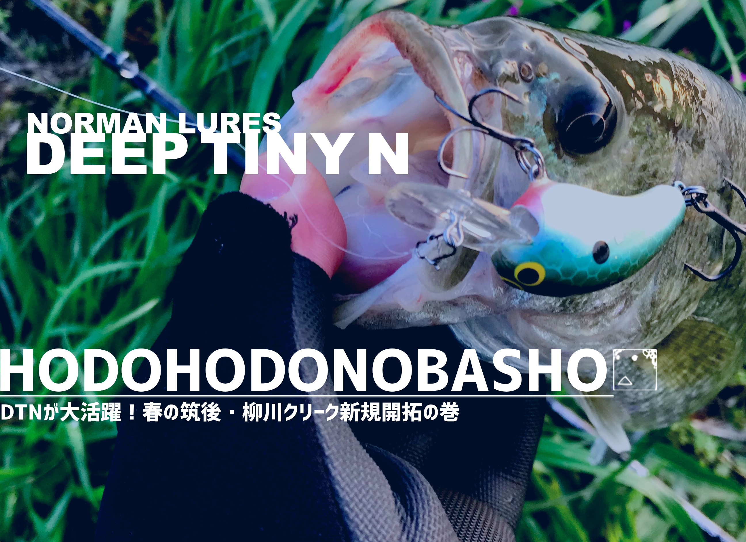 Dtnが大活躍 春の筑後 柳川クリーク新規開拓の巻 ジョーさんのnothing Much Better To Do