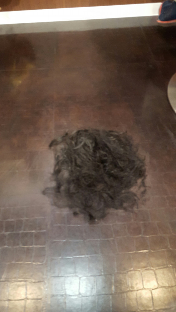 切った髪の毛の意外 な活用法 Hirayastakanori S Ownd