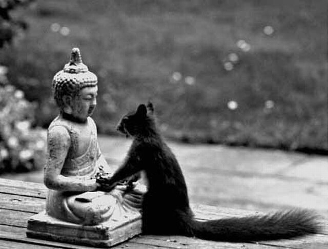 師匠とは, 師匠 呼び方 – UJLSB