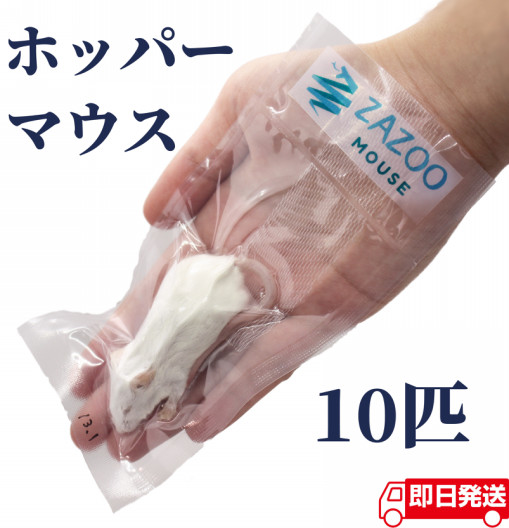 ホッパー マウス 10〜14g 約6.5cm 真空 個別包装 国産 冷凍マウス | ZAZOO