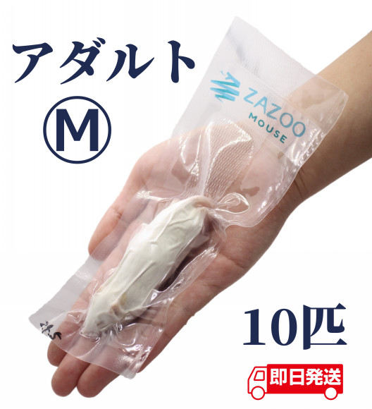 ぴよ様専用☆国産冷凍マウス ピンクS100匹 アダルトM50匹 （ZAZOO）