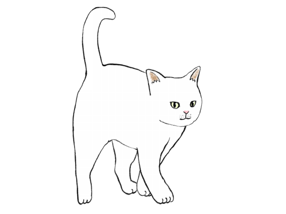 ねこにゃん様確認用 取り次ぐ