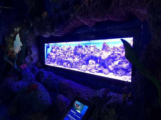 ジャカルタの水族館 Jakarta Aquarium へ Enjoy Jakarta Life