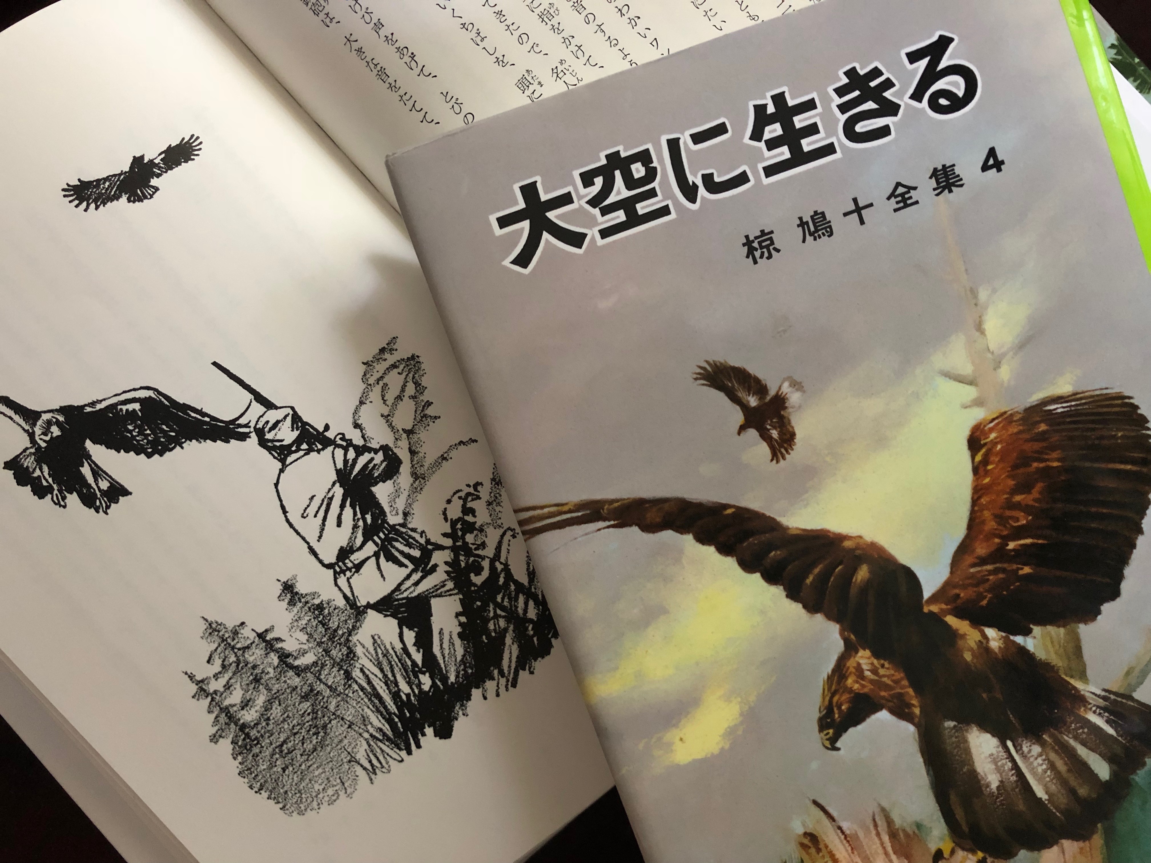 ラジオ朗読劇 椋鳩十の世界『大空に生きる 』より「人間とワシ」第5話