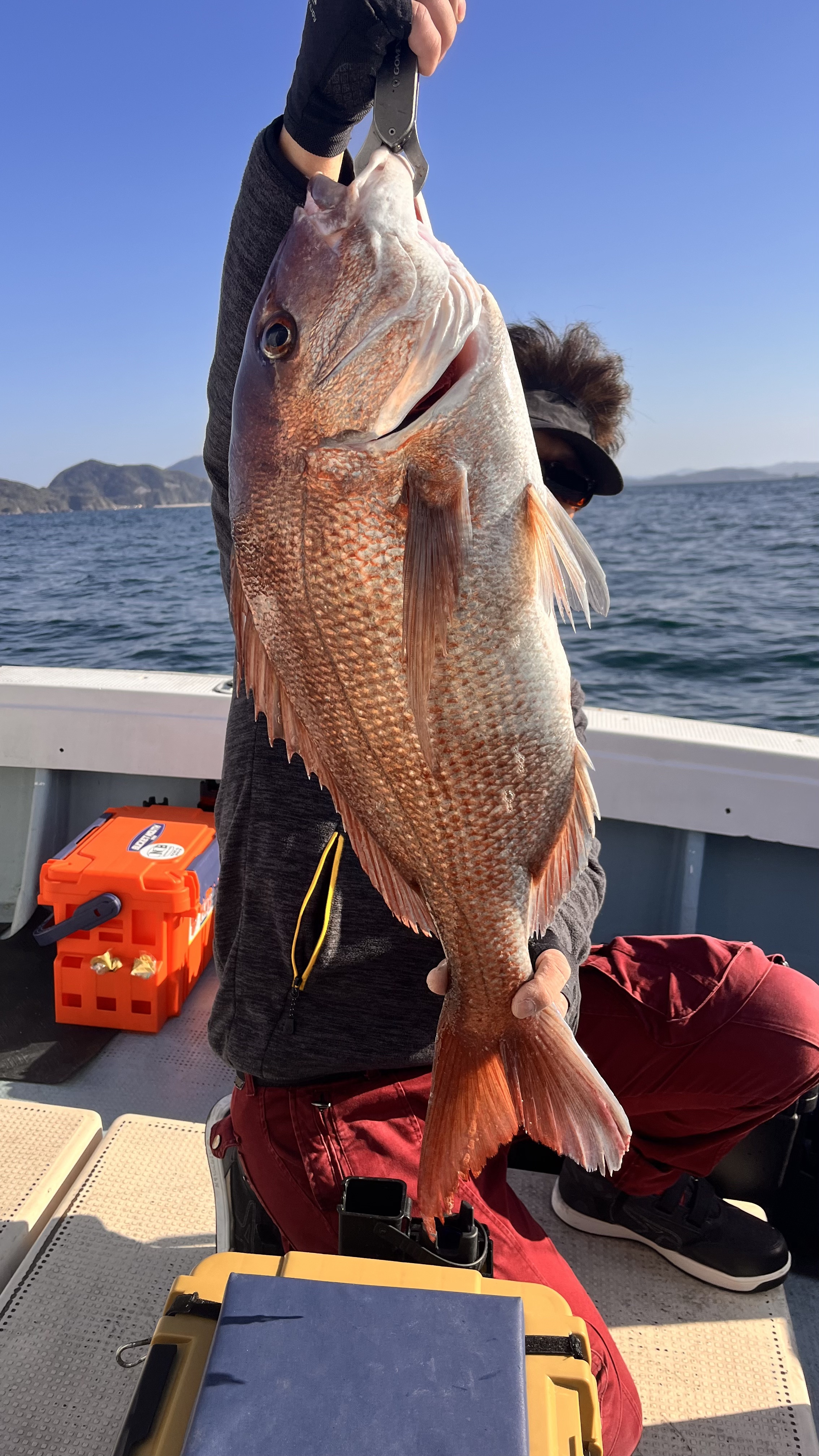 2025.11.29 近海ジギング | 福岡遊漁船 Twins