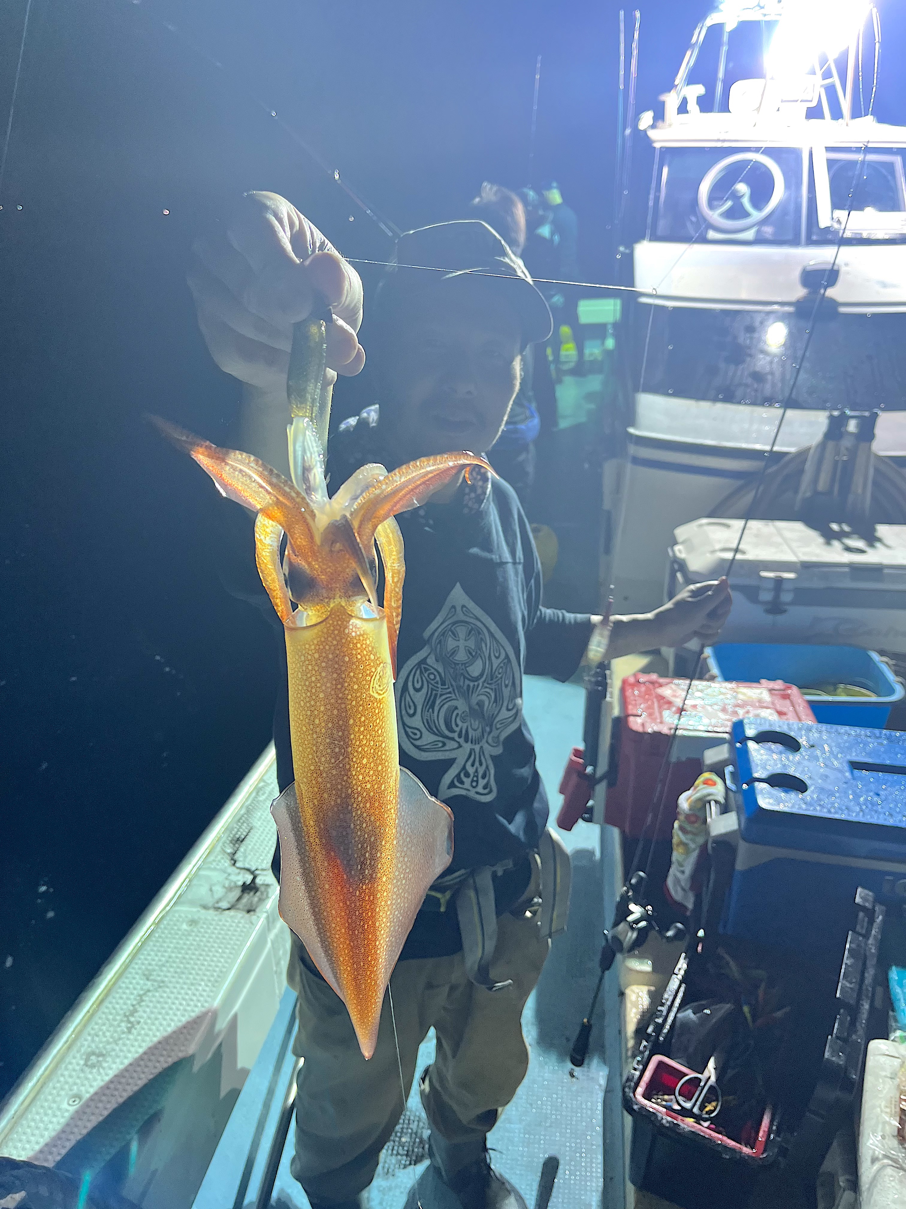 2025.08.01 夜イカ便 | 福岡遊漁船 Twins