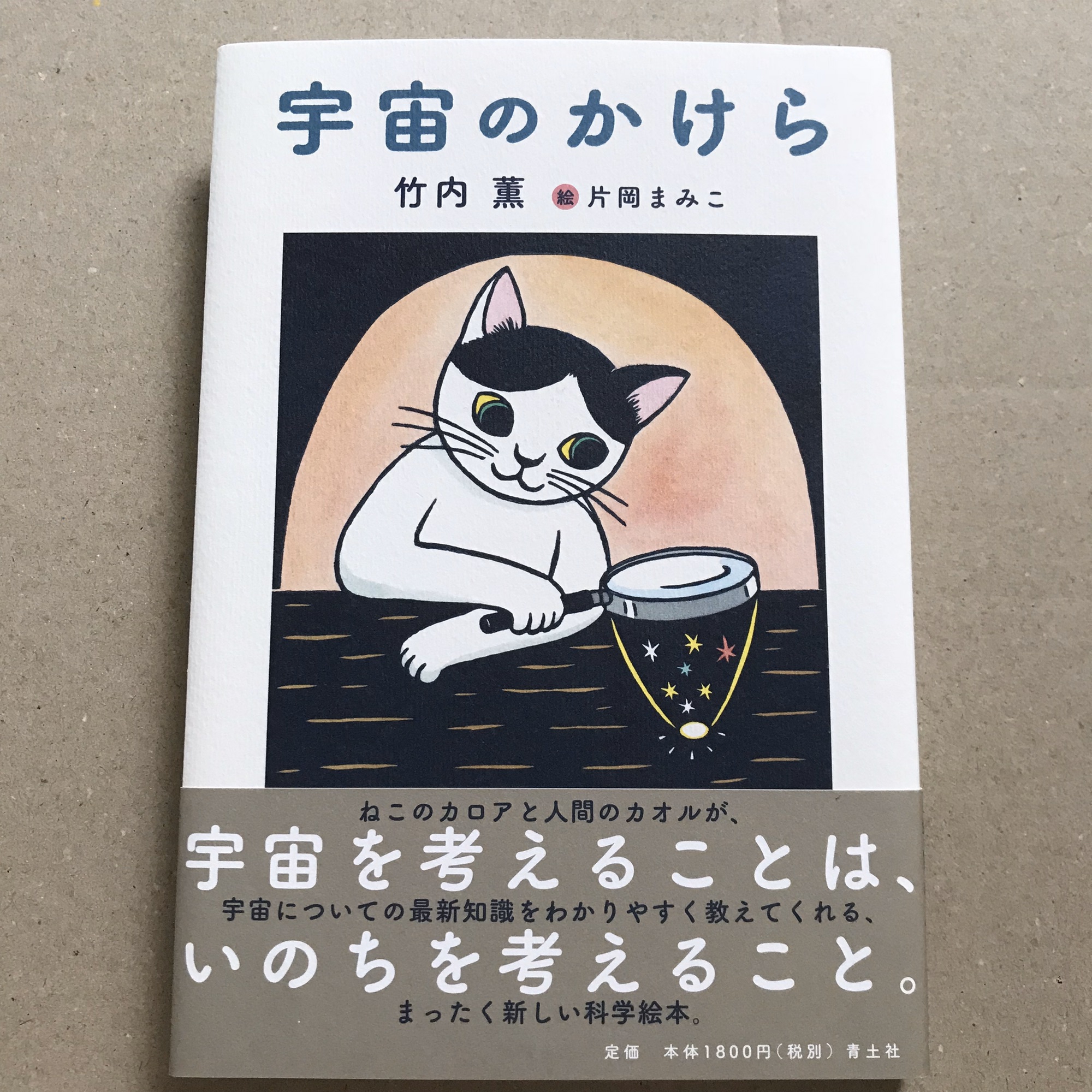 作品販売・本の仕事 | Mamiko Kataoka's Page