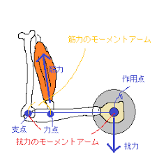 6月6日 水 7日 木 お稽古 ちょっとマニアックな話 アトリエk なぎなた教室