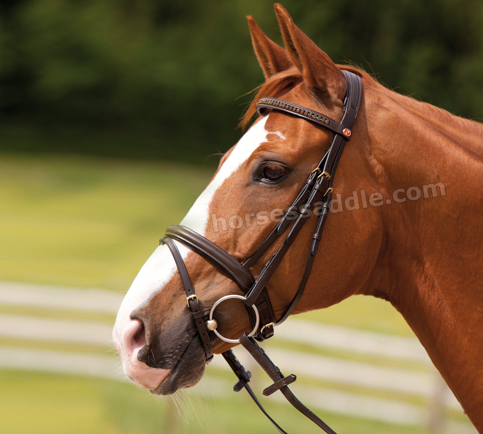 Horse Bridles | Fast Shipping USA