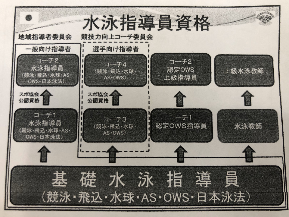 最近のマスターズ 稲毛遊泳会