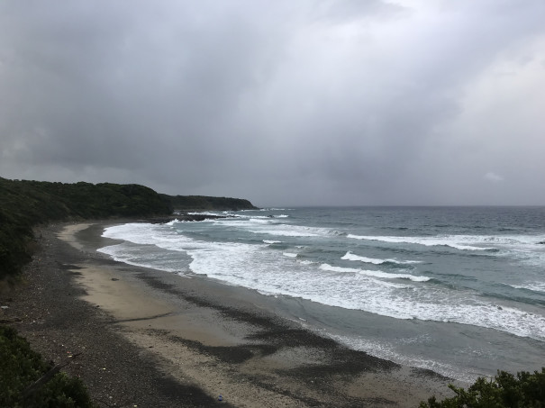 旅にゃんこ種子島編 ふくちゃん海岸で行方不明に そして１５時間後奇跡の生還 旅にゃんこ だいきち ふくちゃん The Traveling Cats