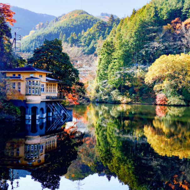 旅にゃんこ埼玉編 鎌北湖 で ジブリワールド に浸りながら紅葉狩り 旅にゃんこ だいきち ふくちゃん The Traveling Cats