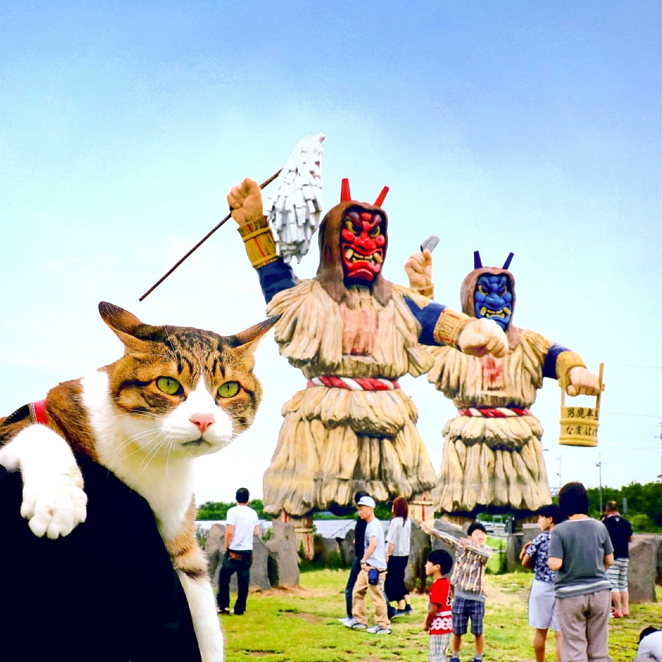 1b31079ba19a70cee04924284721ef