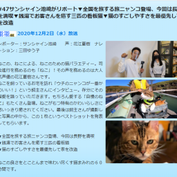 旅にゃんこ だいきち ふくちゃん The Traveling Cats