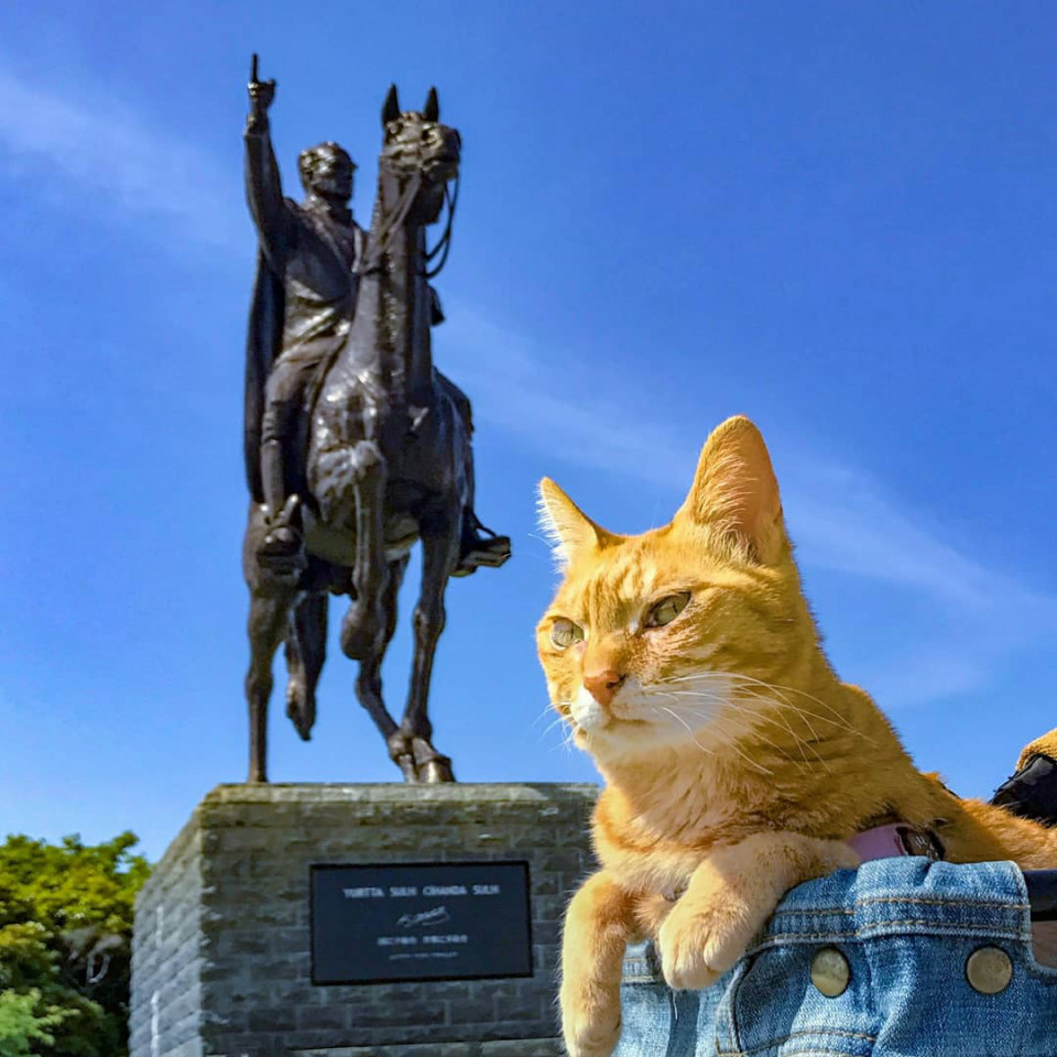 旅にゃんこ和歌山編 日本最古の石造り灯台とトルコを救った串本町の歴史 旅にゃんこ だいきち ふくちゃん The Traveling Cats