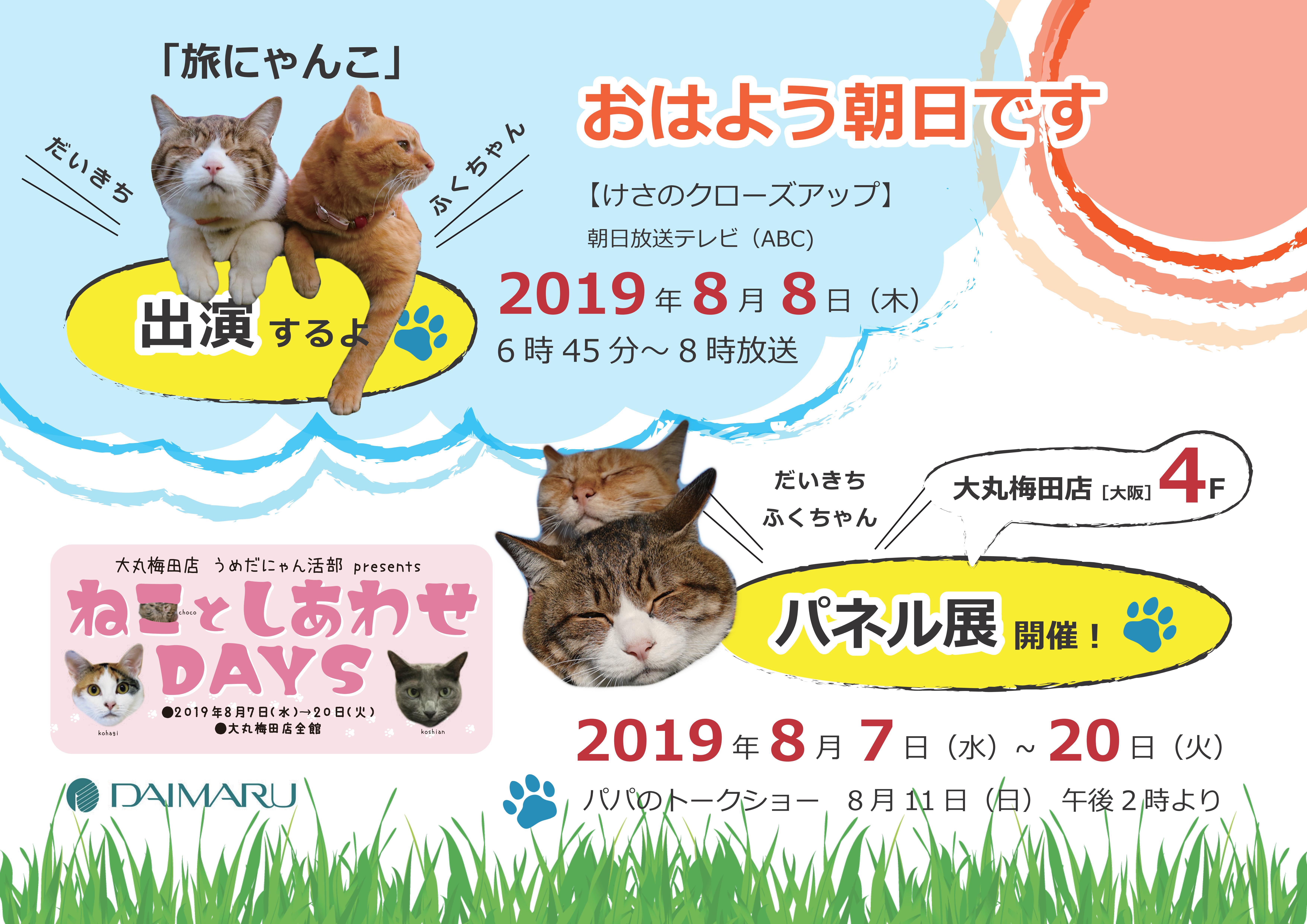 明日の朝 旅にゃんこが おは朝 に出演します 旅にゃんこ だいきち ふくちゃん The Traveling Cats