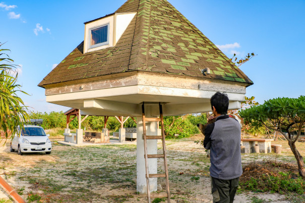 旅にゃんこ鹿児島 奄美諸島編 与論島 大金久キャンプ場 にいくと ２つのメルヘンが味わえます 旅にゃんこ だいきち ふくちゃん The Traveling Cats