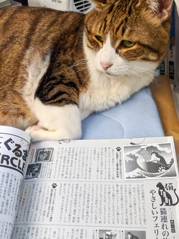 11月26日発売キャンプカーマガジン vol.77・新連載記事2回目 | 旅  