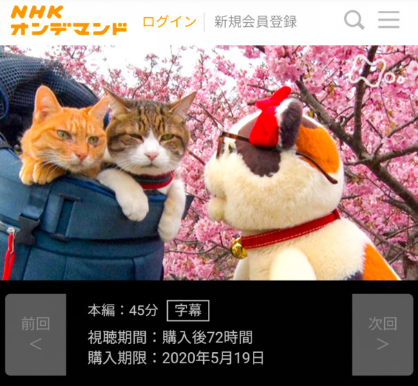 Nhkもふもふモフモフ再放送決定 旅にゃんこ だいきち ふくちゃん The Traveling Cats