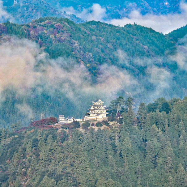 旅にゃんこ岐阜編 天空の城 郡上八幡城 ぐじょうはちまんじょう 旅にゃんこ だいきち ふくちゃん The Traveling Cats