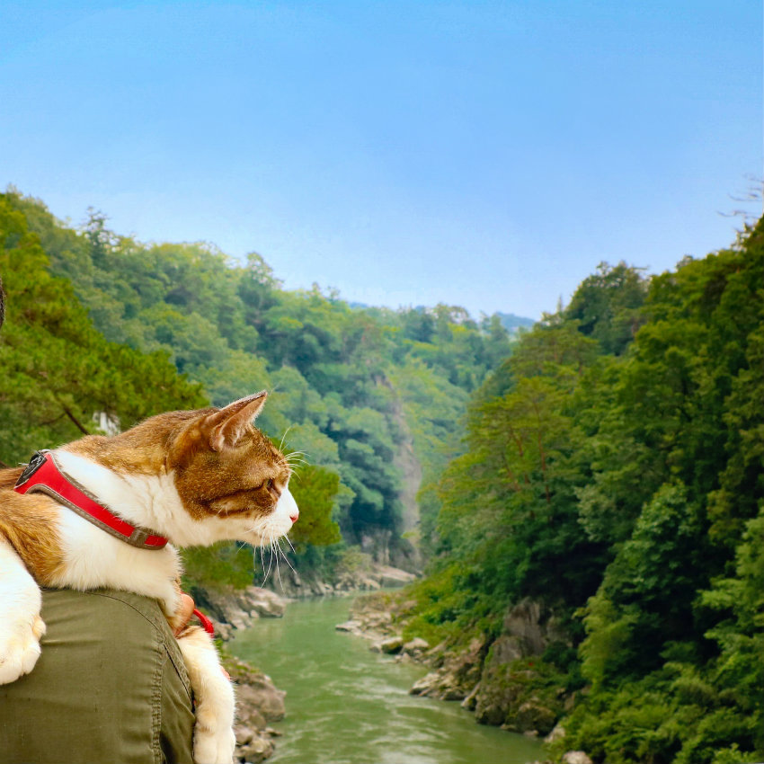 5f59c55c5a3815c562448e35740f6d