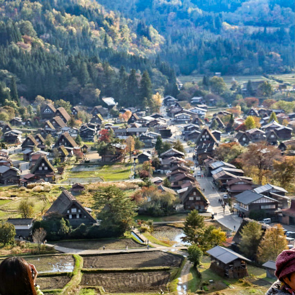 旅にゃんこ岐阜編 世界遺産 白川郷 を訪れたら 世界中の人にモテモテでした 旅にゃんこ だいきち ふくちゃん The Traveling Cats