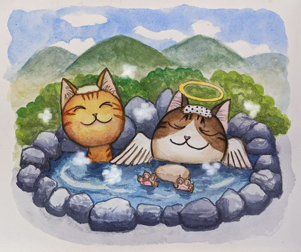 動物と話せるハイジさんとのセッション 旅にゃんこ だいきち ふくちゃん The Traveling Cats 動物と話せるハイジさんとのセッション 旅にゃんこ だいきち ふくちゃん The Traveling Cats