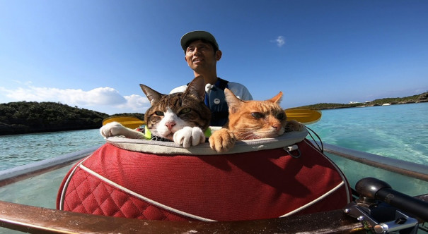 2月22日bs Tbs ねこ自慢スペシャル に出演します 旅にゃんこ だいきち ふくちゃん The Traveling Cats